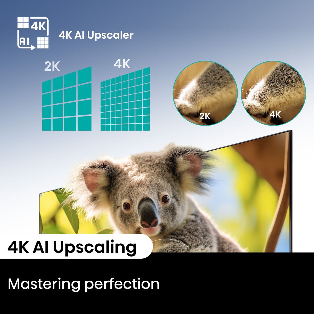 Hisense 50 Inch Q6NAU 4K QLED Smart TV 50Q6NAU